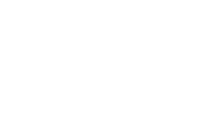 New Stratus Energy Inc.